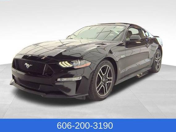 FORD MUSTANG 2019 1FA6P8CF6K5180021 image