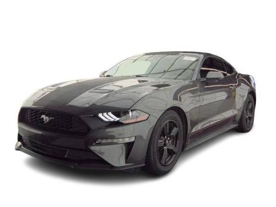 FORD MUSTANG 2019 1FA6P8TH2K5115085 image