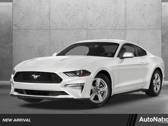 FORD MUSTANG 2019 1FA6P8CF2K5202516 image