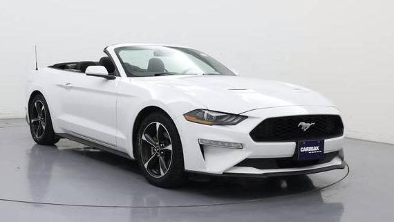 FORD MUSTANG 2019 1FATP8UH5K5202397 image