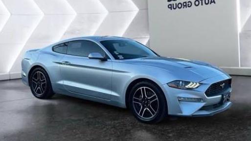 FORD MUSTANG 2019 1FA6P8TH4K5147830 image