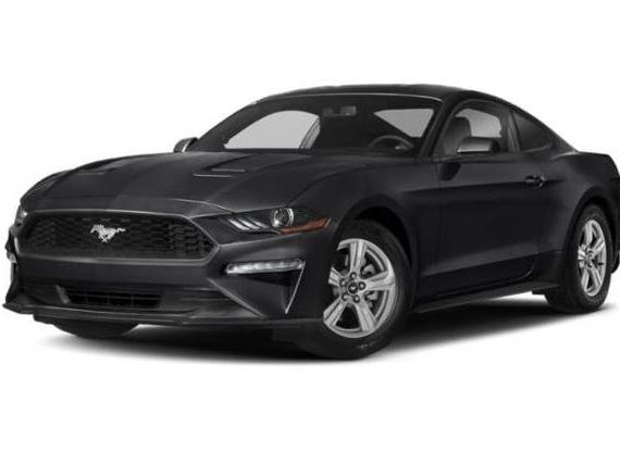 FORD MUSTANG 2019 1FA6P8TH2K5182513 image