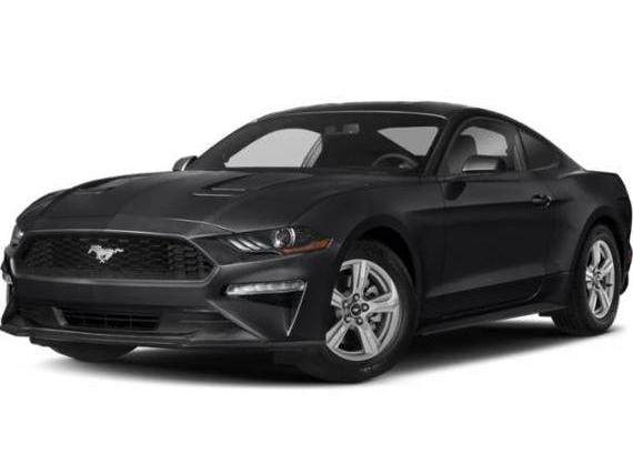 FORD MUSTANG 2019 1FA6P8TH4K5199765 image