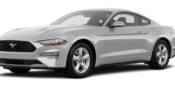 FORD MUSTANG 2019 1FA6P8TH5K5141972 image