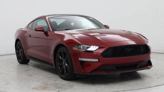 FORD MUSTANG 2019 1FA6P8TH8K5132411 image