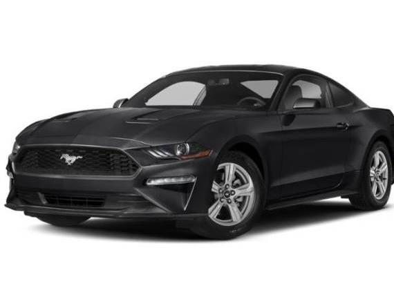 FORD MUSTANG 2019 1FA6P8TH0K5193249 image