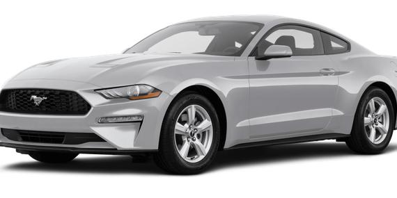 FORD MUSTANG 2019 1FA6P8TH4K5174168 image