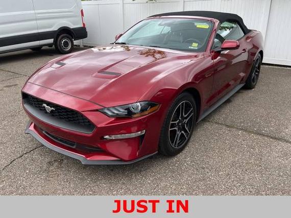 FORD MUSTANG 2019 1FATP8UH1K5192273 image