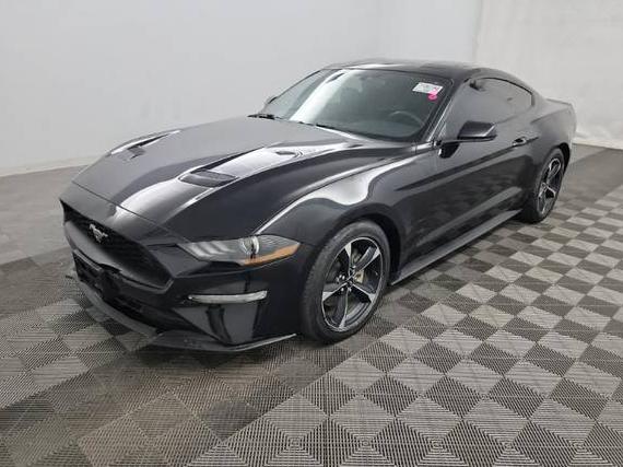 FORD MUSTANG 2019 1FA6P8TH9K5202028 image