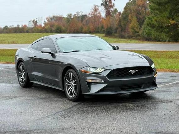 FORD MUSTANG 2019 1FA6P8TH7K5195371 image FORD MUSTANG 2019 1FA6P8TH7K5195371 image