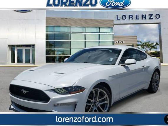 FORD MUSTANG 2019 1FA6P8TH4K5101768 image