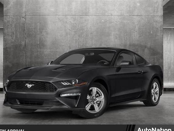 FORD MUSTANG 2019 1FA6P8TH2K5112087 image
