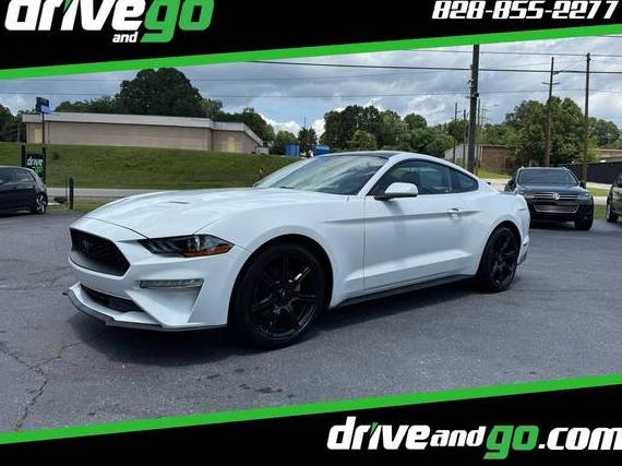 FORD MUSTANG 2019 1FA6P8TH2K5132100 image