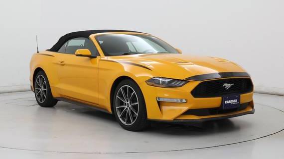 FORD MUSTANG 2019 1FATP8UH1K5119405 image