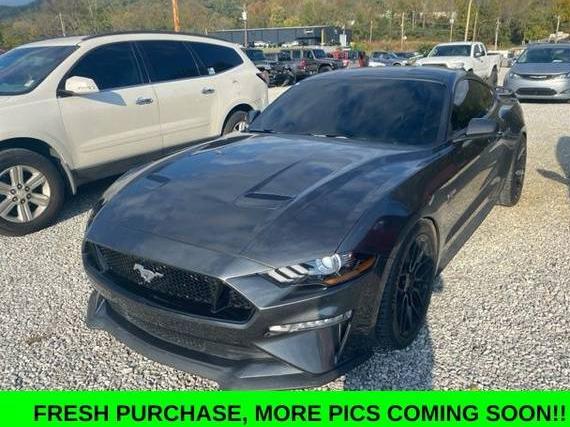 FORD MUSTANG 2019 1FA6P8CF5K5167485 image FORD MUSTANG 2019 1FA6P8CF5K5167485 image