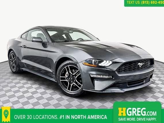 FORD MUSTANG 2019 1FA6P8TH9K5166874 image FORD MUSTANG 2019 1FA6P8TH9K5166874 image