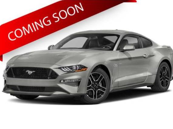 FORD MUSTANG 2019 1FA6P8CF2K5133682 image