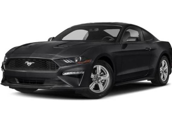 FORD MUSTANG 2019 1FA6P8TH4K5180472 image