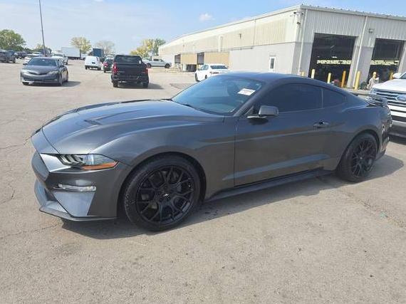 FORD MUSTANG 2019 1FA6P8TH5K5118708 image FORD MUSTANG 2019 1FA6P8TH5K5118708 image