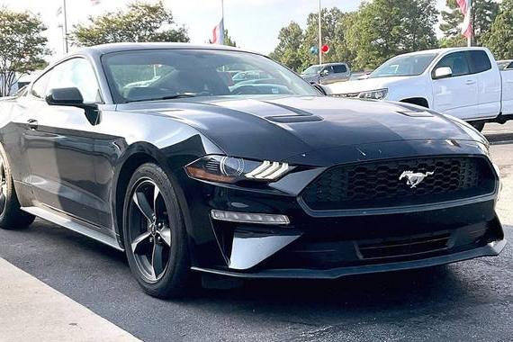 FORD MUSTANG 2019 1FA6P8TH3K5122224 image