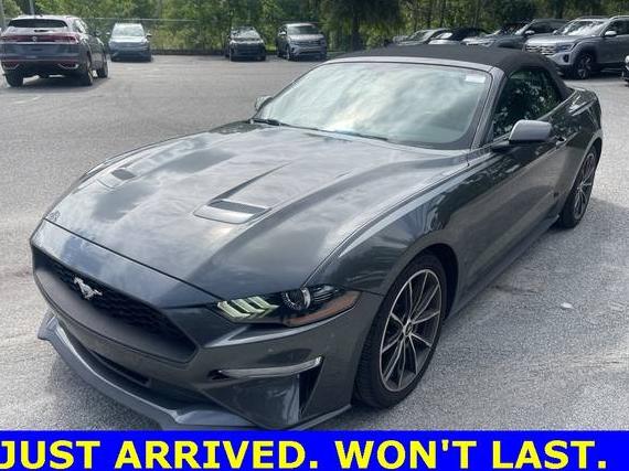 FORD MUSTANG 2019 1FATP8UH6K5200450 image
