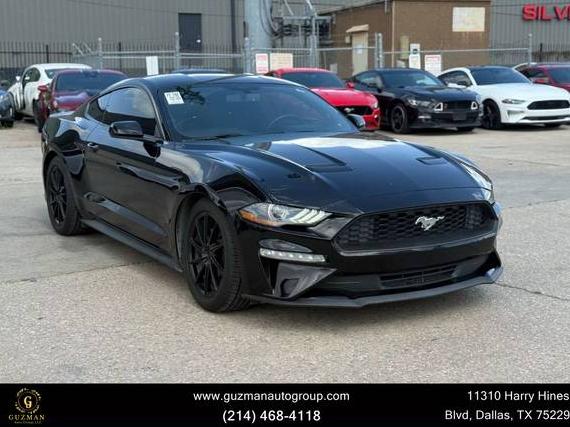 FORD MUSTANG 2019 1FA6P8TH4K5143258 image