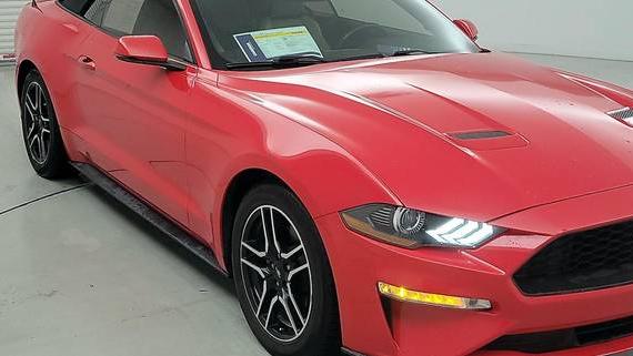 FORD MUSTANG 2019 1FATP8UH1K5149424 image