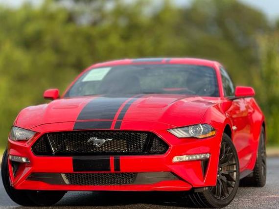 FORD MUSTANG 2019 1FA6P8CF6K5202146 image