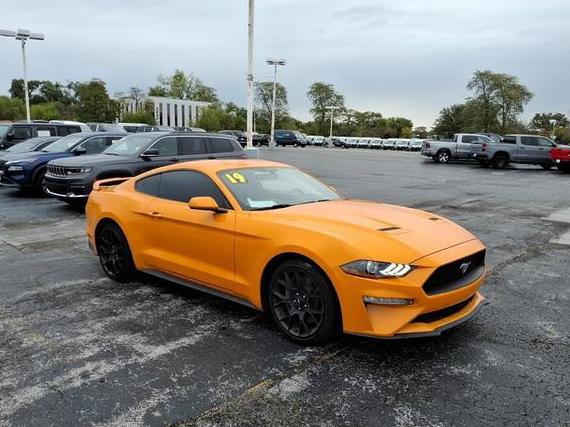 FORD MUSTANG 2019 1FA6P8THXK5197311 image