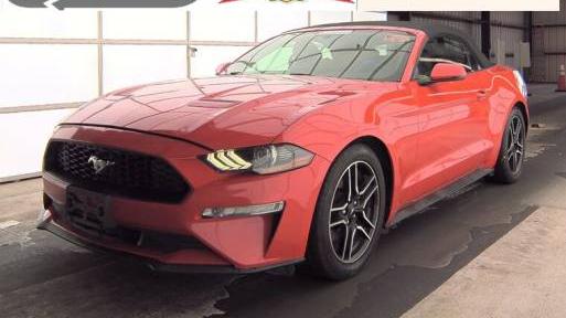 FORD MUSTANG 2019 1FATP8UH7K5162520 image