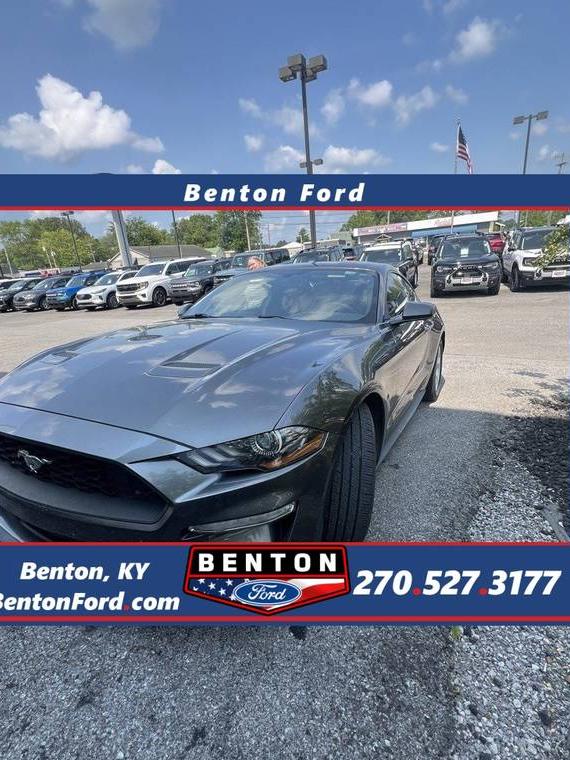 FORD MUSTANG 2019 1FA6P8TH0K5135237 image