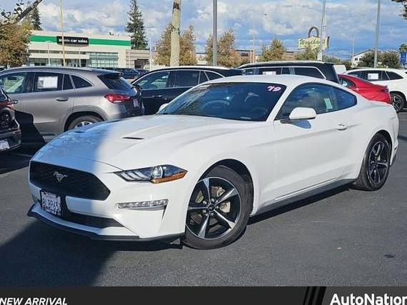 FORD MUSTANG 2019 1FA6P8TH8K5169569 image FORD MUSTANG 2019 1FA6P8TH8K5169569 image