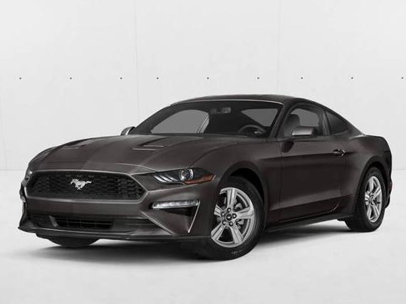 FORD MUSTANG 2019 1FA6P8CF3K5168165 image