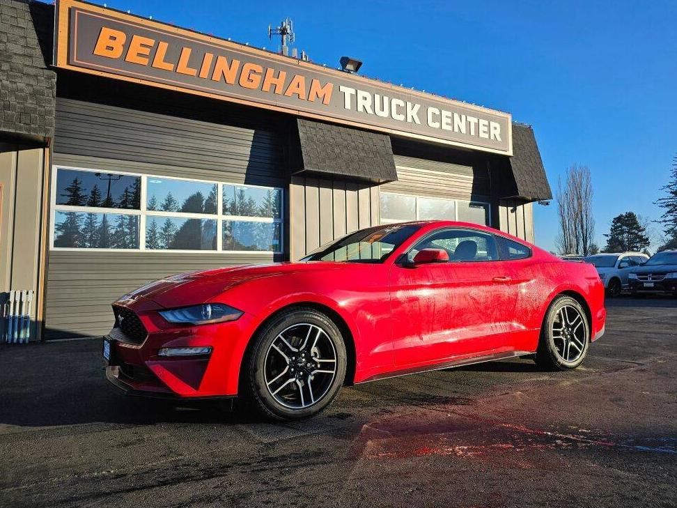 FORD MUSTANG 2019 1FA6P8TH2K5103129 image