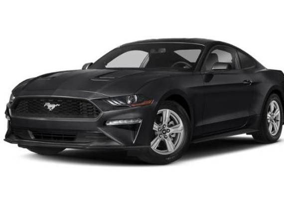 FORD MUSTANG 2019 1FA6P8TH9K5151811 image