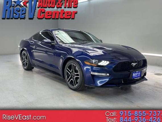 FORD MUSTANG 2019 1FA6P8TH9K5106206 image FORD MUSTANG 2019 1FA6P8TH9K5106206 image