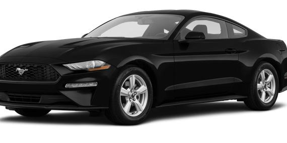 FORD MUSTANG 2019 1FA6P8TH5K5143625 image