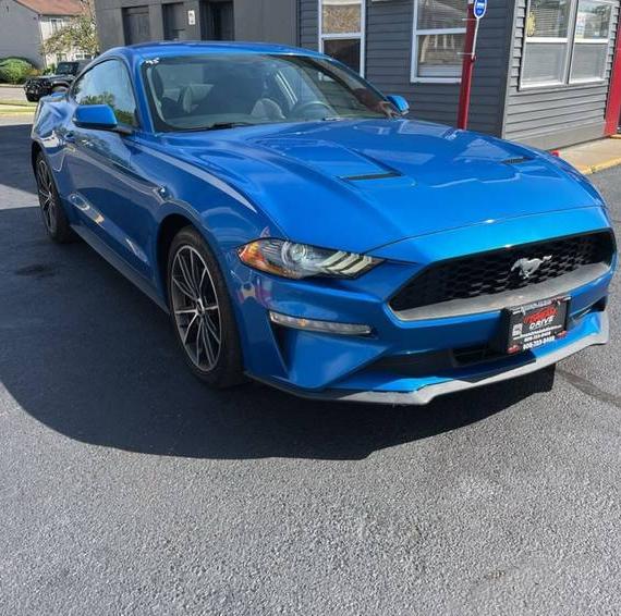 FORD MUSTANG 2019 1FA6P8TH5K5198897 image
