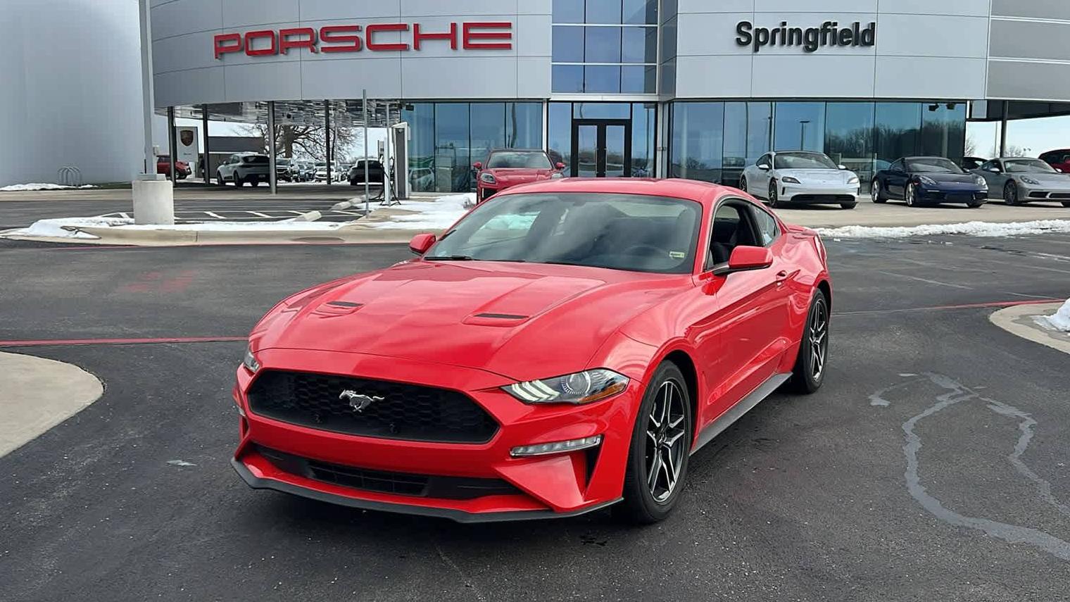 FORD MUSTANG 2019 1FA6P8TH0K5192926 image