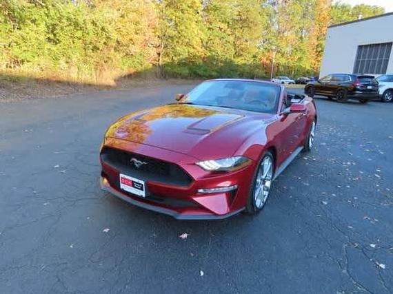 FORD MUSTANG 2019 1FATP8UH7K5198885 image