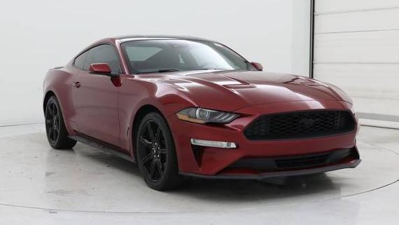 FORD MUSTANG 2019 1FA6P8TH0K5187323 image