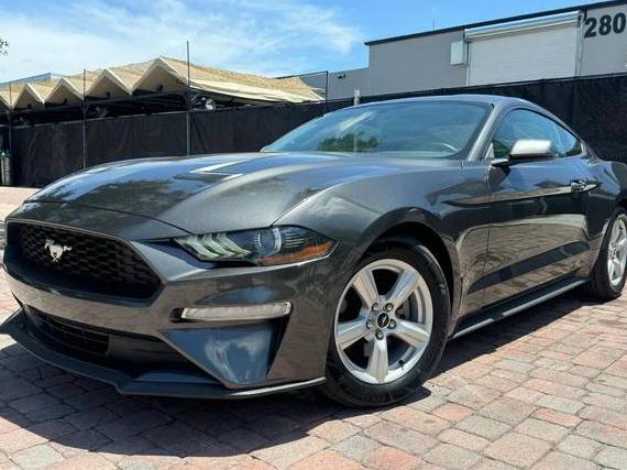 FORD MUSTANG 2019 1FA6P8THXK5184803 image