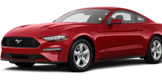 FORD MUSTANG 2019 1FA6P8THXK5123628 image