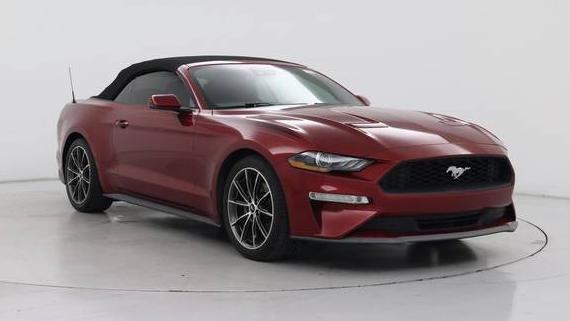 FORD MUSTANG 2019 1FATP8UH2K5159623 image