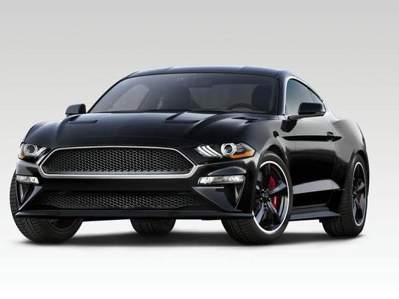 FORD MUSTANG 2019 1FA6P8K03K5500487 image