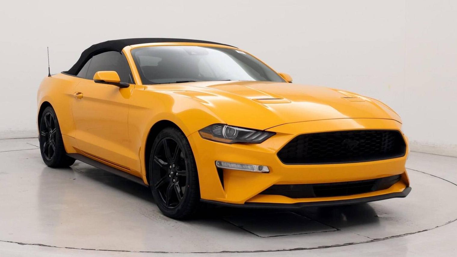 FORD MUSTANG 2019 1FATP8UH6K5205292 image