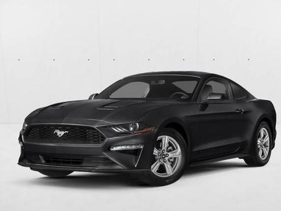 FORD MUSTANG 2019 1FA6P8TH6K5115090 image