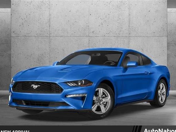 FORD MUSTANG 2019 1FA6P8CF0K5203423 image