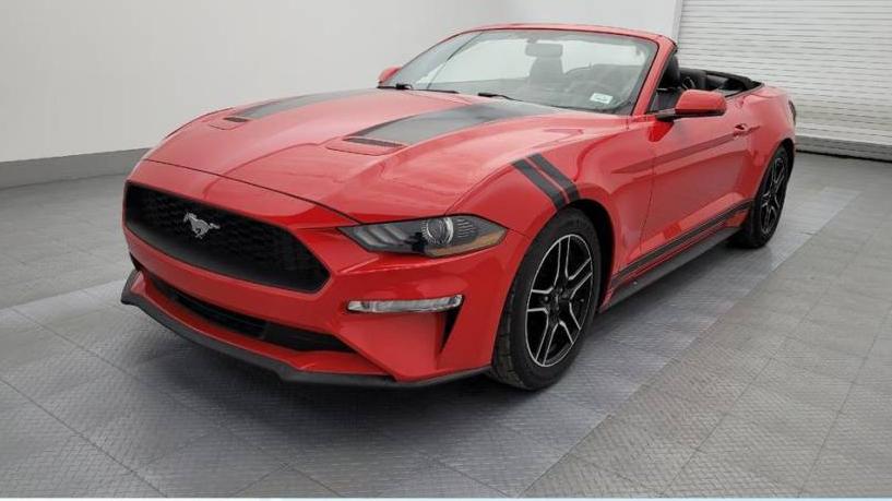 FORD MUSTANG 2019 1FATP8UH2K5148847 image