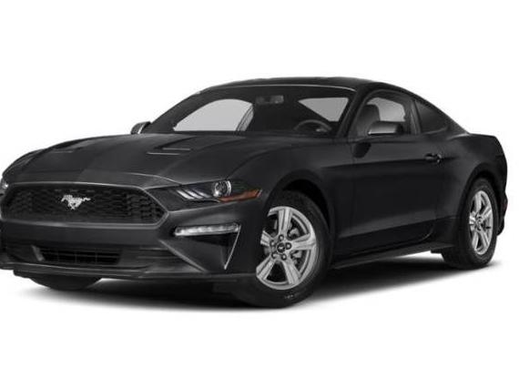 FORD MUSTANG 2019 1FA6P8TH0K5118616 image